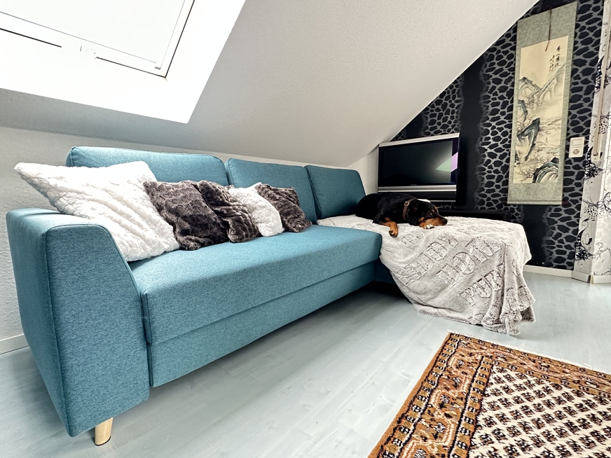 Hund auf Bruno Ecksofa